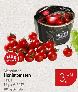 Dornseifer Niederlande Honigtomaten Angebot
