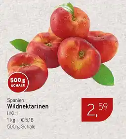 Dornseifer Spanien Wildnektarinen Angebot