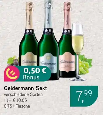 Dornseifer Geldermann Sekt Angebot