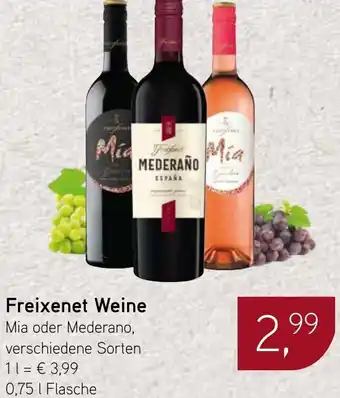 Dornseifer Freixenet Weine Angebot