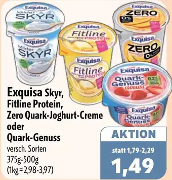 Aktiv Irma Exquisa Skyr, Fitline Protein, Zero Quark-Joghurt-Creme oder Quark-Genuss Angebot