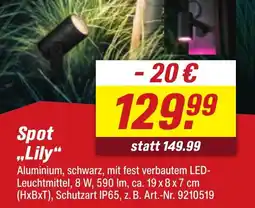 toom Baumarkt PHILIPS Spot ,,Lily" Angebot