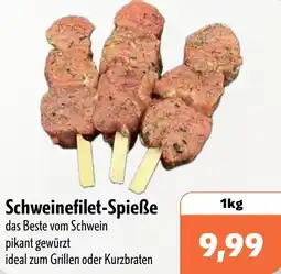 Aktiv Irma Schweinefilet-Spieße Angebot