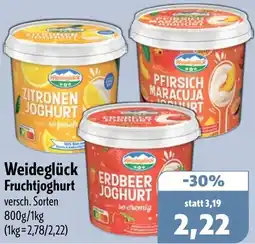 Aktiv Irma Weideglück Fruchtjoghurt Angebot