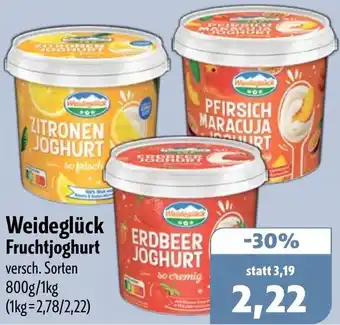 Aktiv Irma Weideglück Fruchtjoghurt Angebot