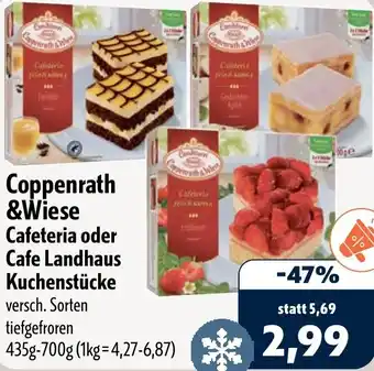 Aktiv Irma Coppenrath &Wiese Cafeteria oder Cafe Landhaus Kuchenstücke Angebot