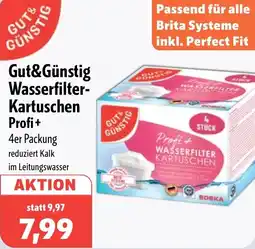 Aktiv Irma Gut&Günstig Wasserfilter Kartuschen Profi+ Angebot