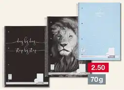 Woolworth Collegeblock Angebot
