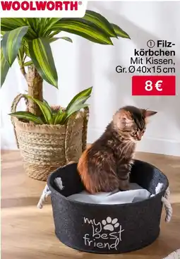 Woolworth Filzkörbchen Angebot