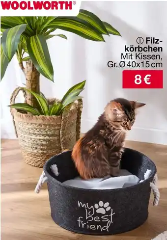 Woolworth Filzkörbchen Angebot