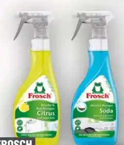 Handelshof Frosch Citrus Dusche & Bad-Reiniger Angebot