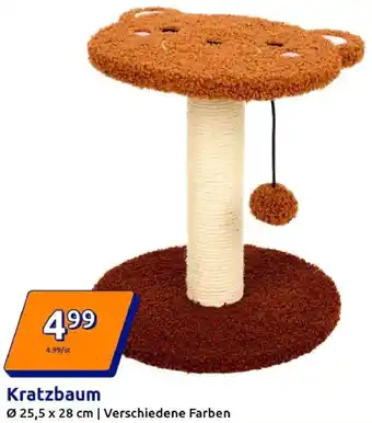 Action Kratzbaum Angebot