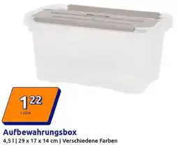 Action Aufbewahrungsbox Angebot