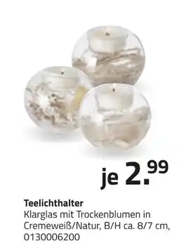 ROLLER Teelichthalter Angebot