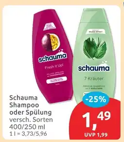 Budni Schauma shampoo fresh it up! Angebot