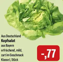 Feneberg Kopfsalat Angebot
