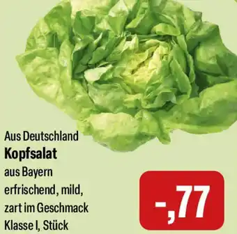 Feneberg Kopfsalat Angebot