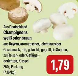 Feneberg Champignons weiß oder braun Angebot