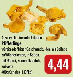 Feneberg Pfifferlinge Angebot