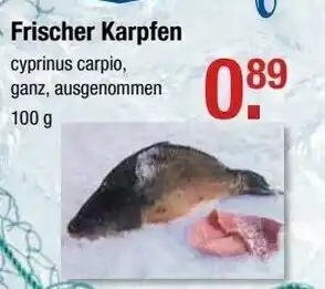 V Markt Frischer Karpfen 100 g Angebot