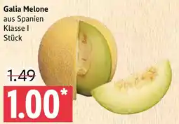 Marktkauf Galia Melone Angebot
