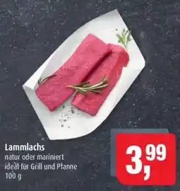 Markant Lammlachs Angebot