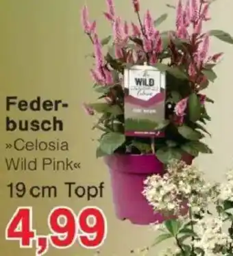 Jawoll Federbusch Angebot
