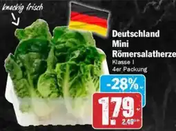 HIT Deutschland Mini Römersalatherzen Angebot