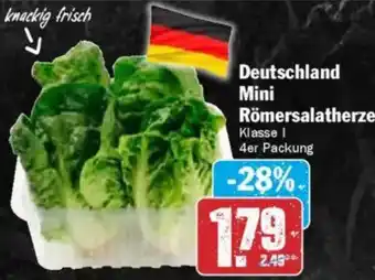 HIT Deutschland Mini Römersalatherzen Angebot