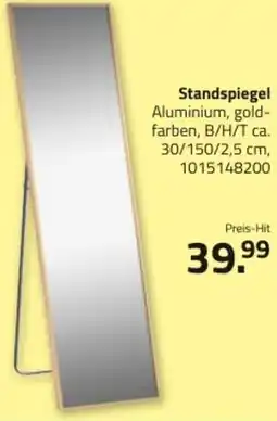 ROLLER Standspiegel Angebot