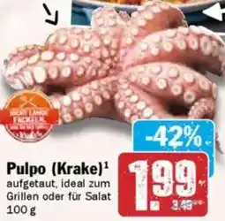 HIT Pulpo (Krake) Angebot