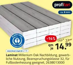 ROLLER profitan Laminat Angebot