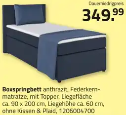 ROLLER Boxspringbett Angebot