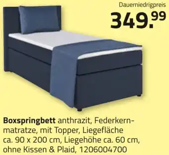 ROLLER Boxspringbett Angebot