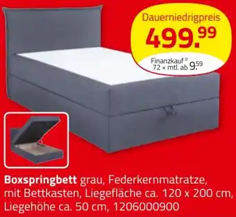 ROLLER Boxspringbett Angebot