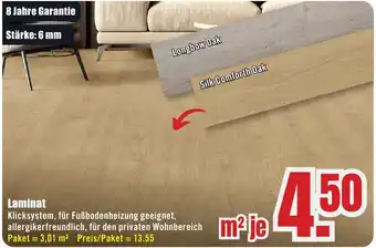 B1 Discount Baumarkt Laminat Angebot
