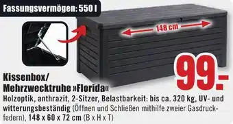B1 Discount Baumarkt Kissenbox/ Mehrzwecktruhe Florida Angebot