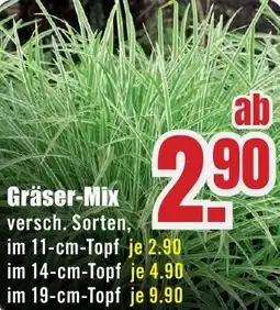 B1 Discount Baumarkt Gräser-Mix Angebot