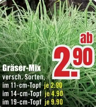 B1 Discount Baumarkt Gräser-Mix Angebot