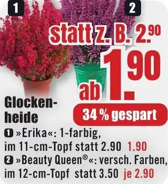 B1 Discount Baumarkt Glockenheide Angebot