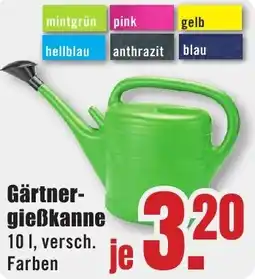 B1 Discount Baumarkt Gärtnergieẞkanne Angebot