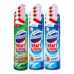Netto Marken-Discount Domestos WC-Reiniger 750 ml, verschiedene Sorten, 12er Pack Angebot