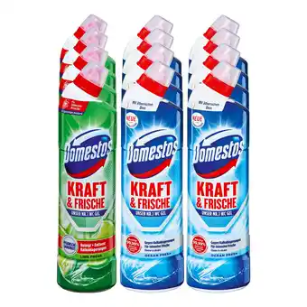 Netto Marken-Discount Domestos WC-Reiniger 750 ml, verschiedene Sorten, 12er Pack Angebot