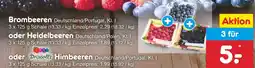 Netto Marken-Discount Brombeeren oder Heidelbeeren oder Himbeeren Angebot