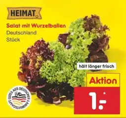 Netto Marken-Discount Salat mit Wurzelballen Angebot