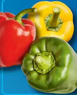 Aldi Süd Paprika Mix Angebot