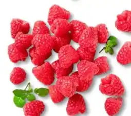 Kaufland Driscoll's Himbeeren Angebot