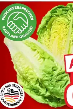 Kaufland Mini-Romanasalat Angebot