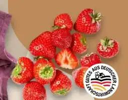 Kaufland Erdbeeren Angebot