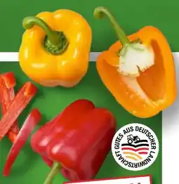 Kaufland Paprika Mix Angebot